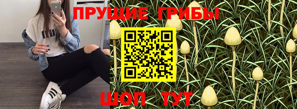 Комсомольск-на-Амуре  где продают   Псилоцибиновые грибы Psilocybine cubensis  Вход с VPN  Псилоцибиновые грибы MAGIC MUSHROOMS 