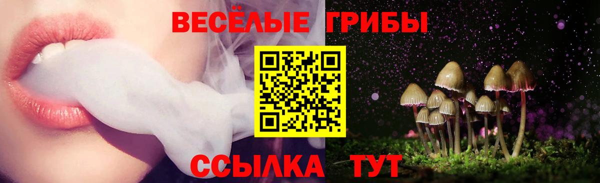 Псилоцибиновые грибы мухоморы Комсомольск-на-Амуре